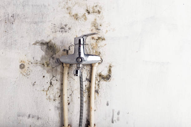 Best Mold Remediation Services  in Irrigon, OR