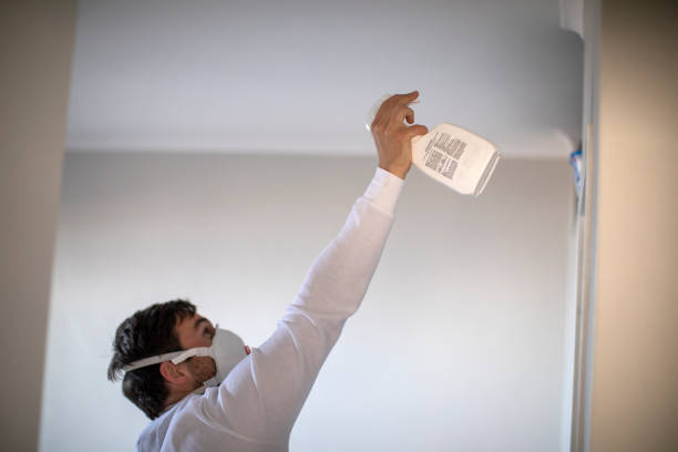 Best Fast Mold Removal  in Irrigon, OR