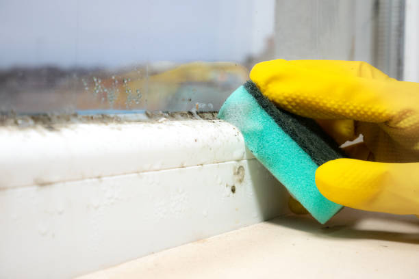 Crawl Space Mold Removal in Irrigon, OR